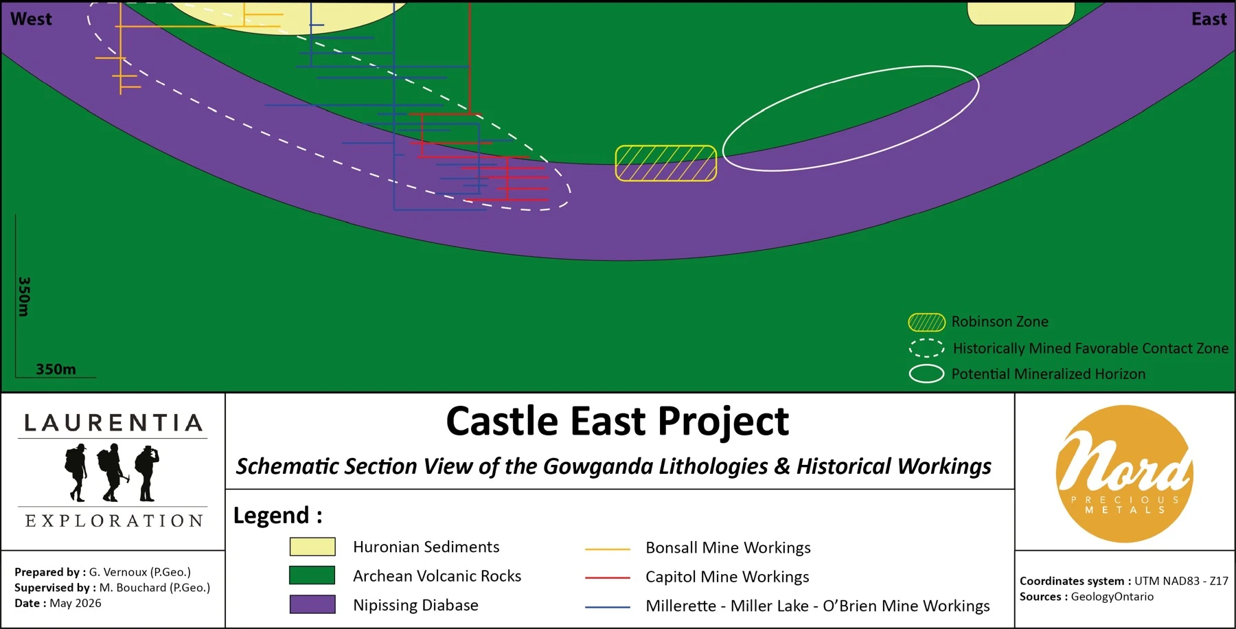 Schematic section view of Gowganda lithologies and historical workings